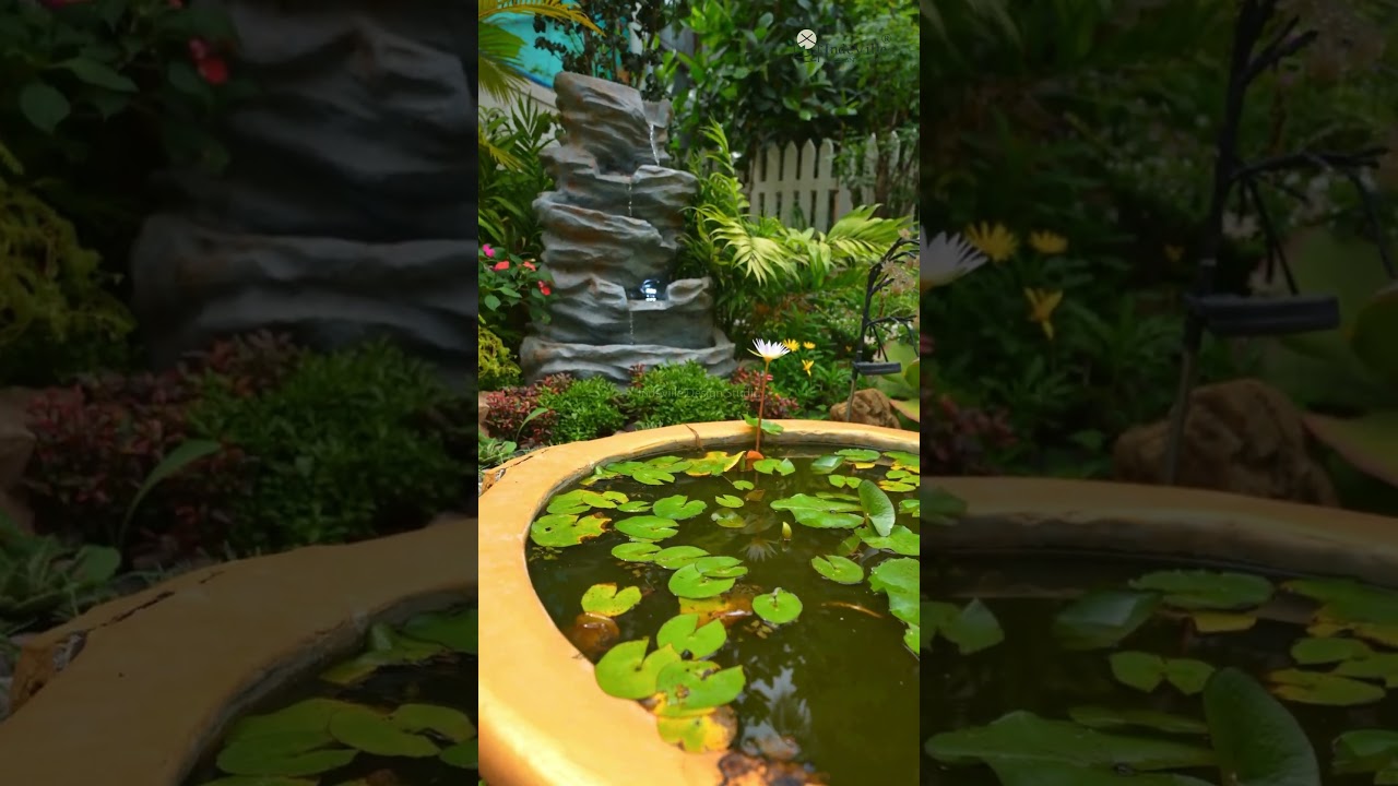Lush Tropical Landscaping | Indeville Design Studio | Landscape Architects | Bangalore & Delhi NCR