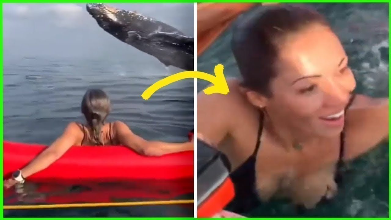 People Dying Inside Compilation part 46