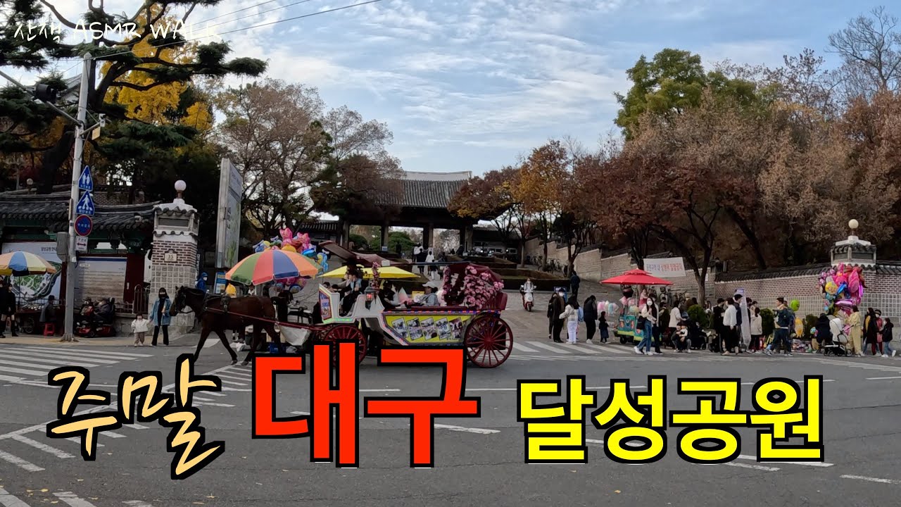 주말 대구 달성공원 /Dalseong Park in Daegu