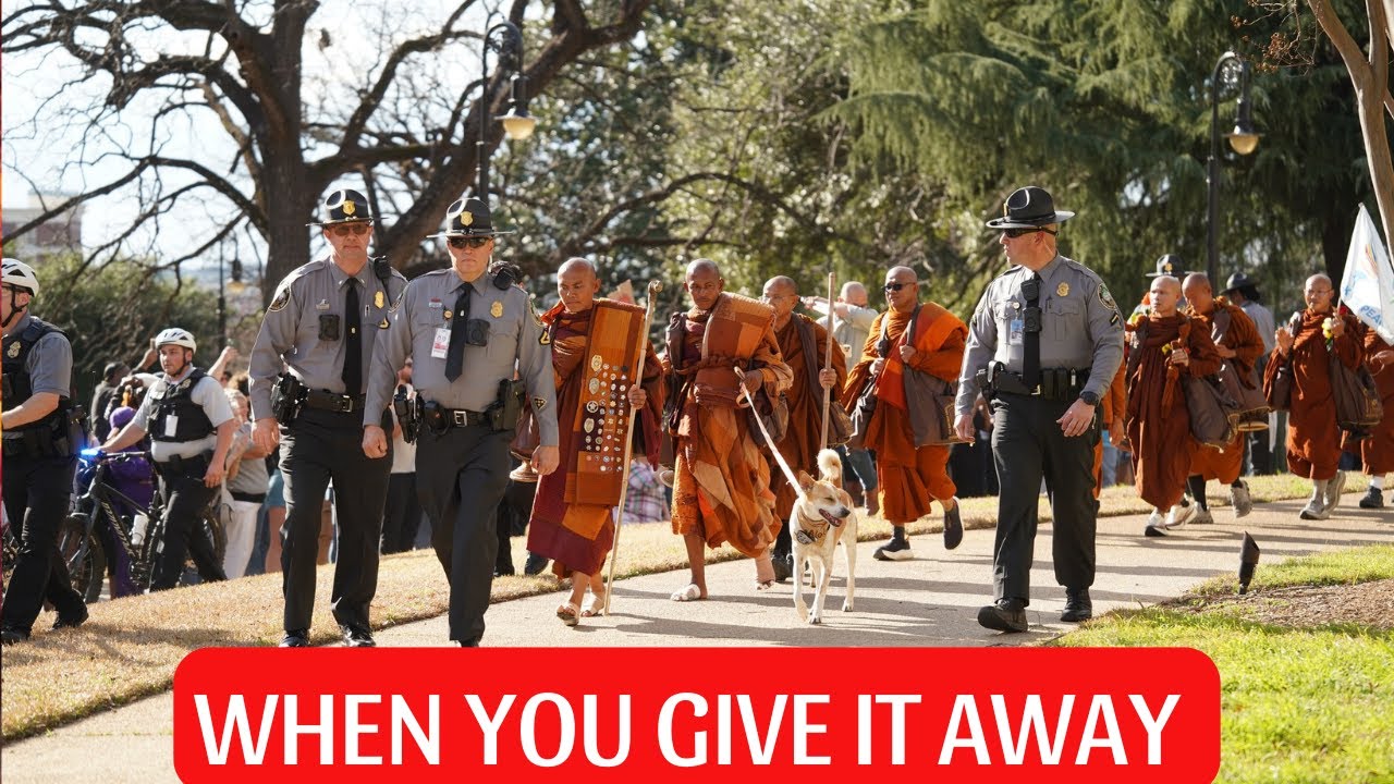 Walk for Peace | Why Peace Grows When You Give It Away (Aloka the Peace Dog)
