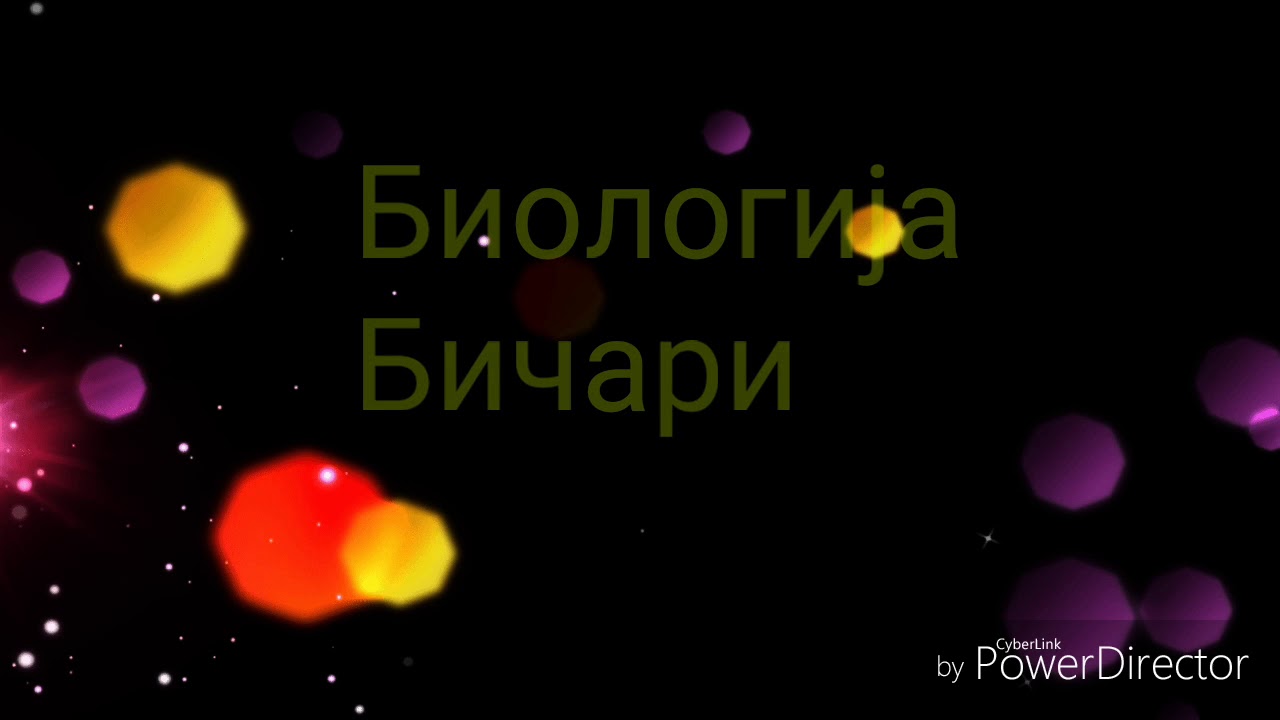 Biologija-Bičari