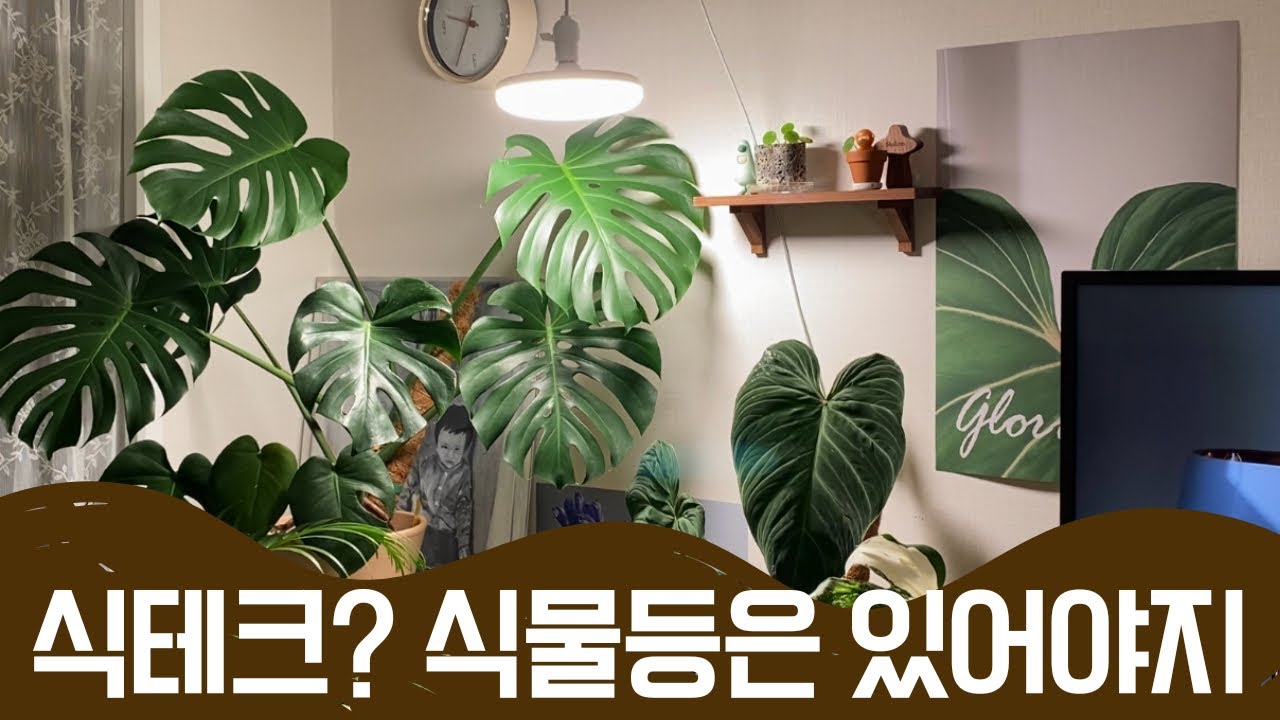 식테크 하시려고요? 식물등은 있어야죠