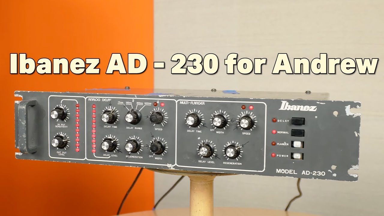 Joe Biden’s Ibanez AD-230