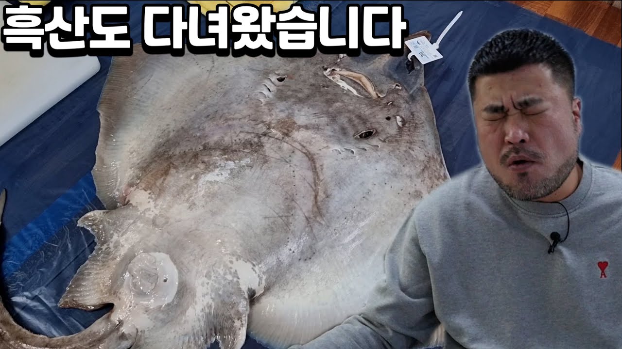 홍어먹으려고 흑산도 왔습니다!!9kg 최상급 암홍어 해체와 먹방 (feat하루헛개)Eatingshow Mukbang