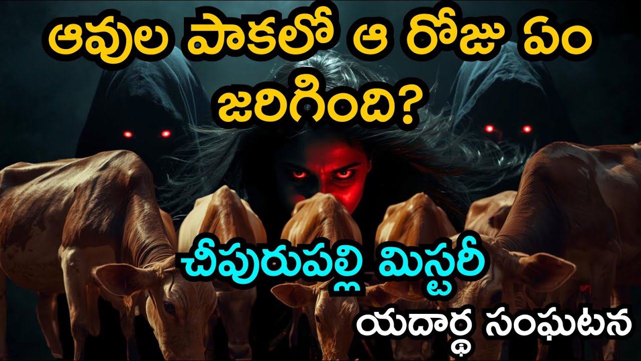 చీపురుపల్లి మిస్టరీ😱ఆవుల పాకలో ఆ రోజు ఏం జరిగింది? Real telugu horror stories | real ghost stories 