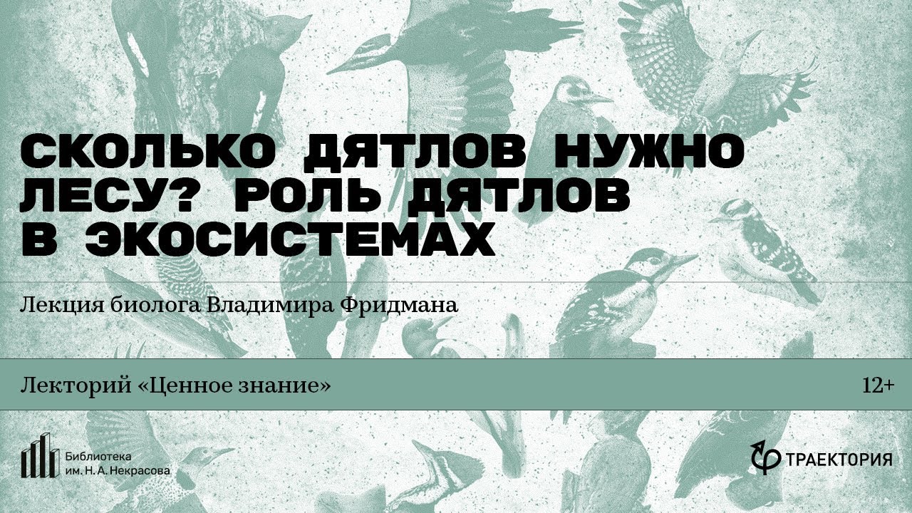 «Сколько дятлов нужно лесу? Роль дятлов в экосистемах». Лекция биолога Владимира Фридмана