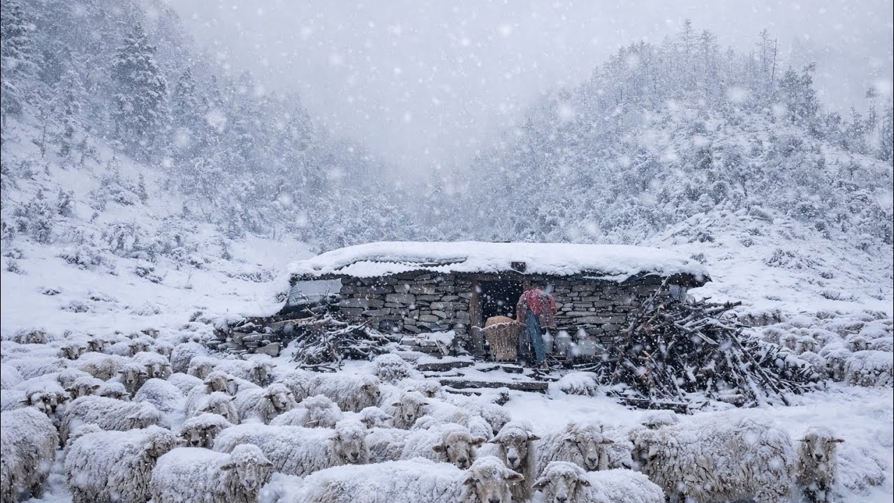 This Is Living Naturally In A Freezing Mountain Village|| Snowfall Daily Survival Life