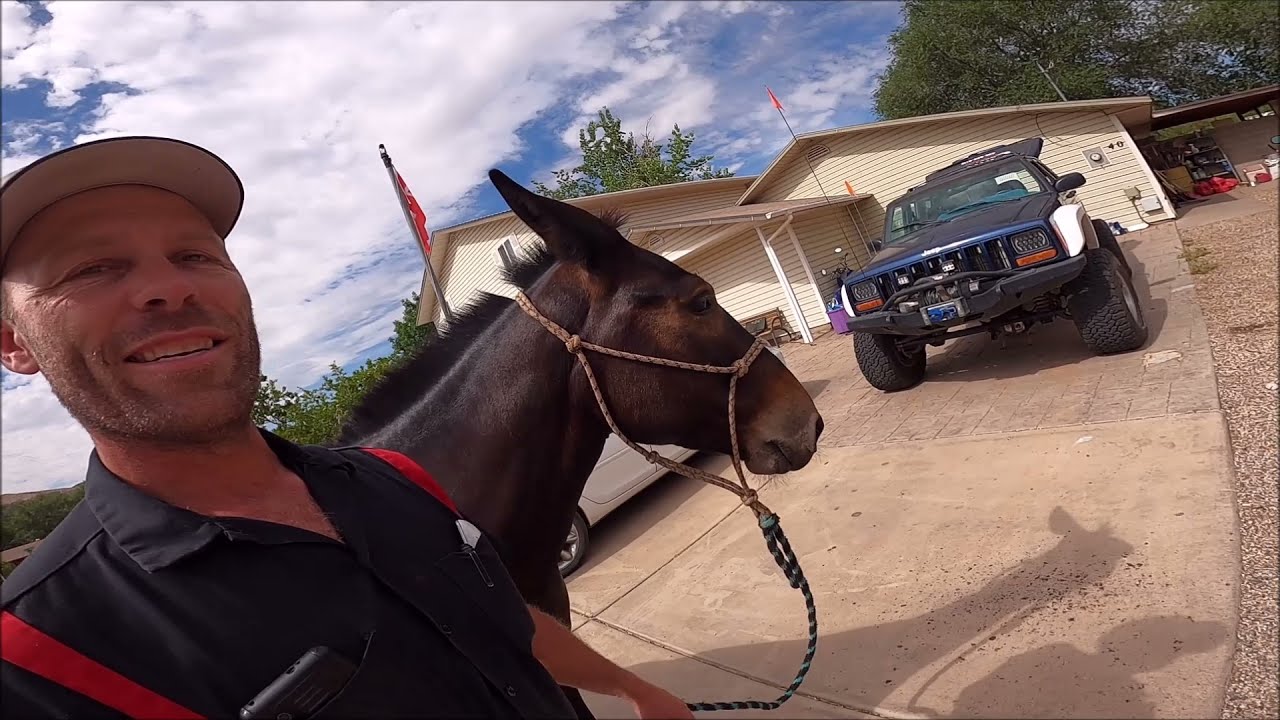 Jeep Vs Mule Off Road Recovery Should I sell the Jeep?
