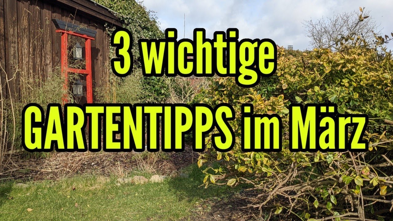 3 WICHTIGE Gartentipps im M&auml;rz  Tipps f&uuml;r den Fr&uuml;hling im Garten