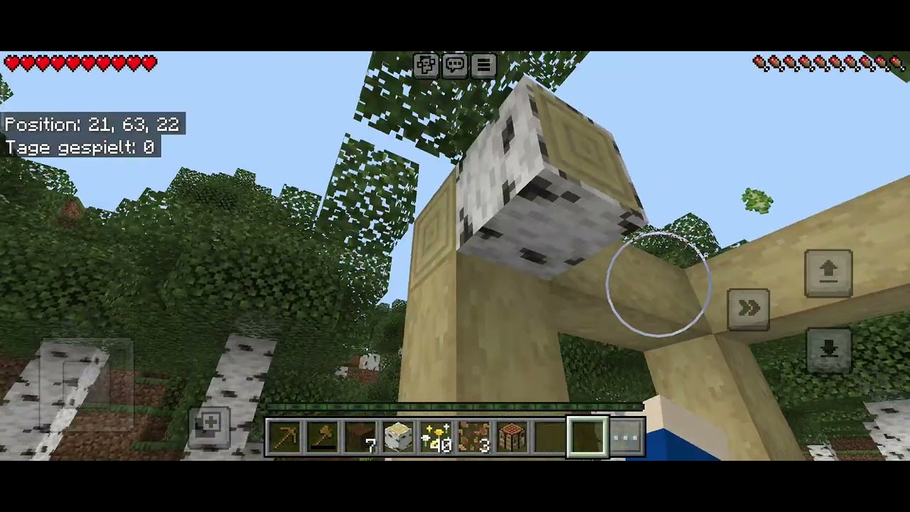 Mincraft Freunde 5 