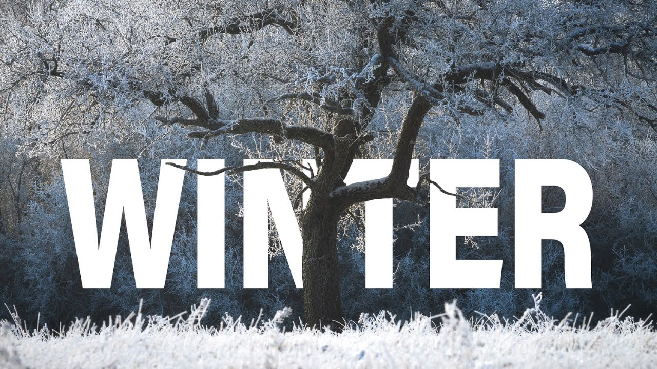 Traumhafte Bedingungen im Winter fotografieren | Landschaftsfotografie