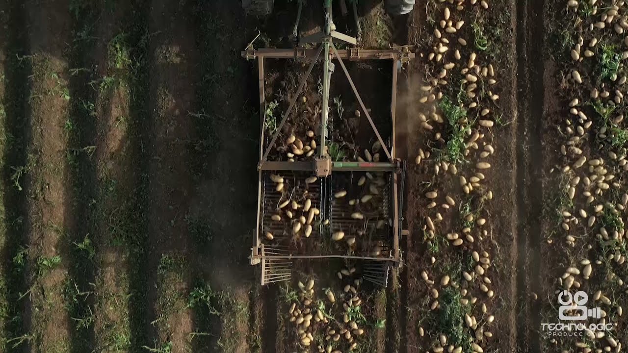 AGRICULTURA - Procesos Productivos