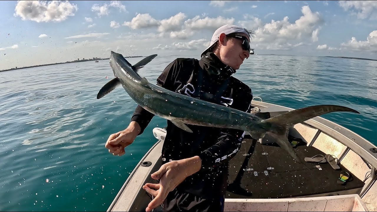Fishing Darwin Harbour (CRAZY SHARK ATTACK)