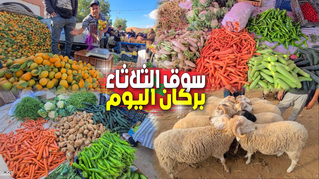 أشهر سوق بشرق المغرب 🇲🇦 ممتلئ عن آخره، أثمنة الغنم والخضر والفواكه بسوق الثلاثاء بركان SOUK BERKANE
