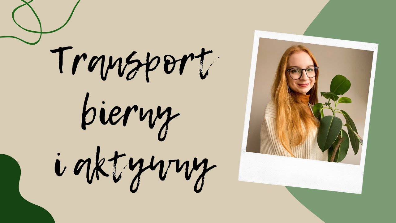 Transport bierny i aktywny