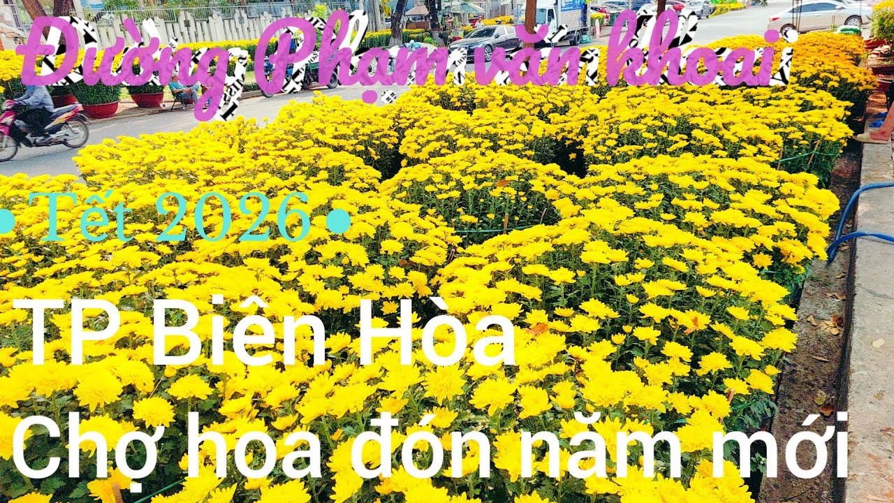 Chợ hoa ngày tết tại TP Biên Hòa nhộn nhip rộn ràng không  khí tết sớm mới  nhất 