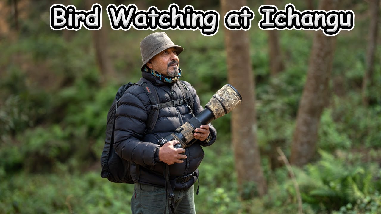 Bird watching at ichangu jan 2023