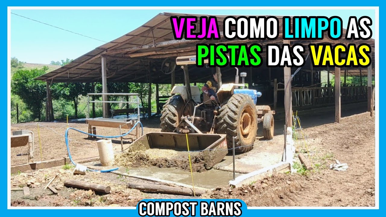 Limpando os pisos das VACAS LEITEIRAS (Sala de alimentação e espera)