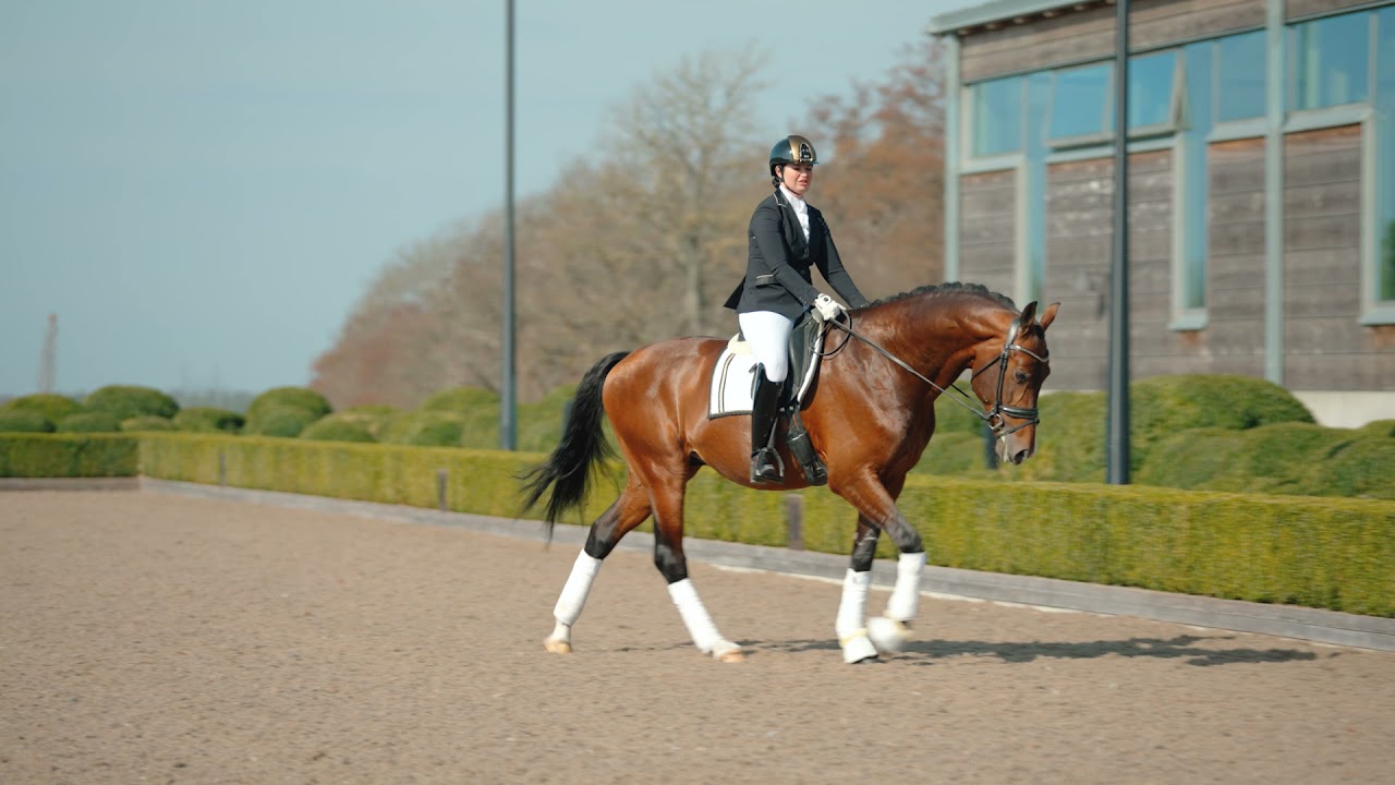 King Olymbrio L 1414 2021