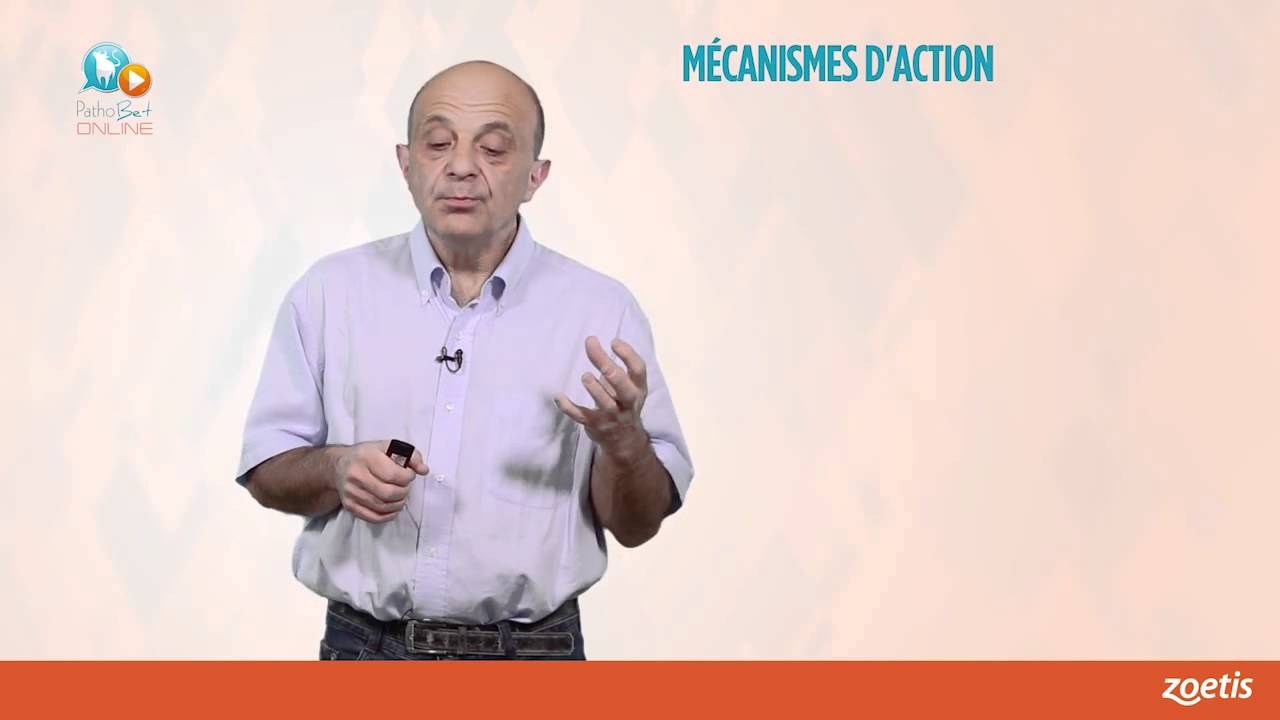 F  SCHELCHER   Virus bvd et maladies respiratoires des bovins HD