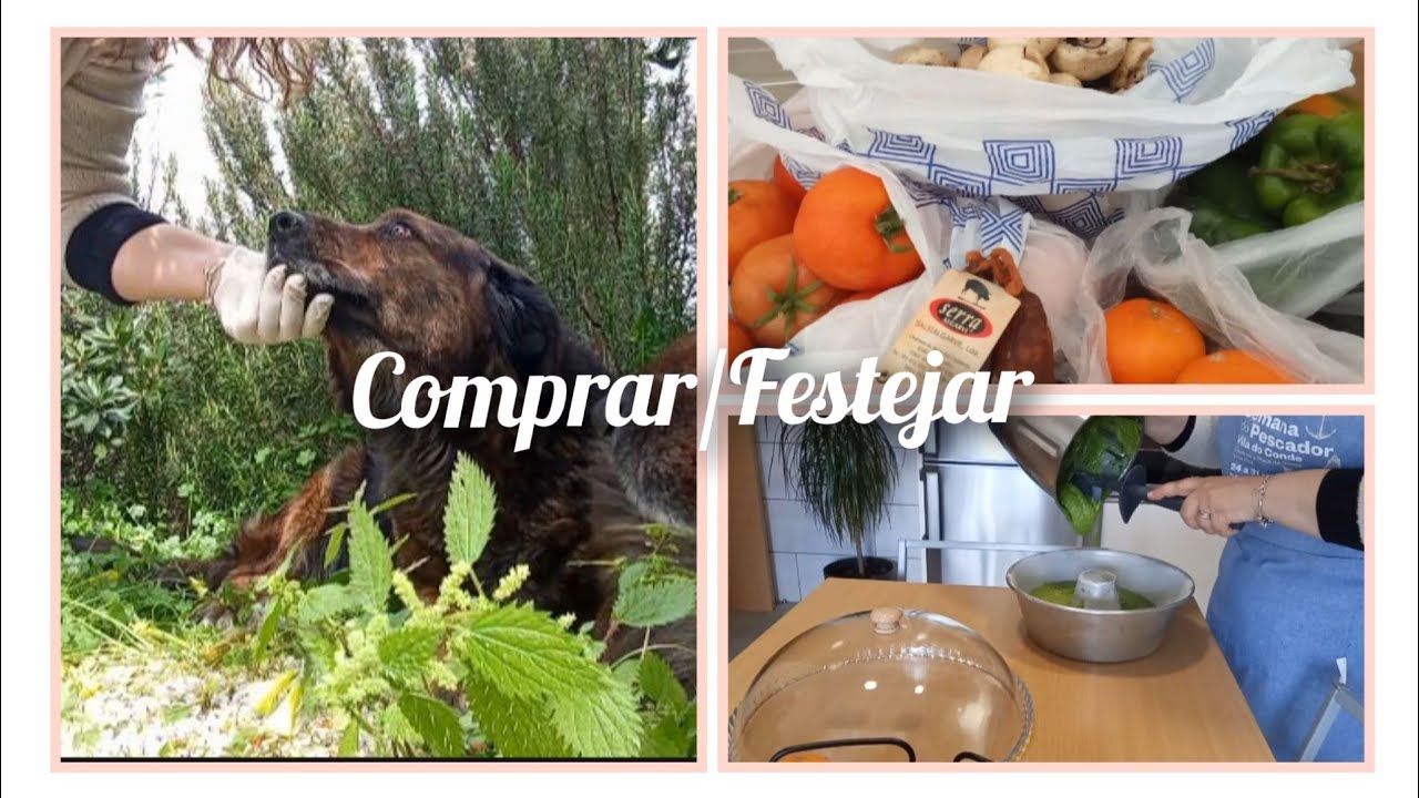 Comprar/Festejar 🎊