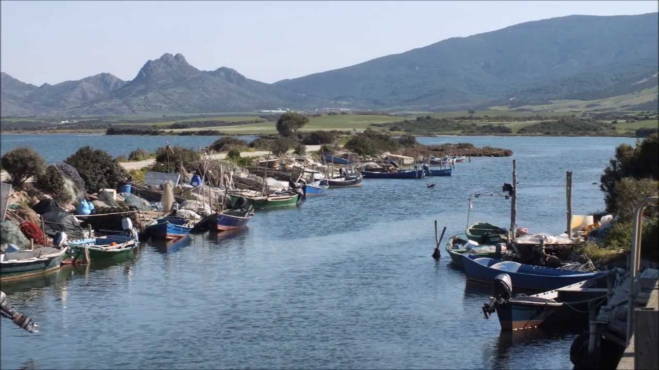 MARCEDDI' Terralba