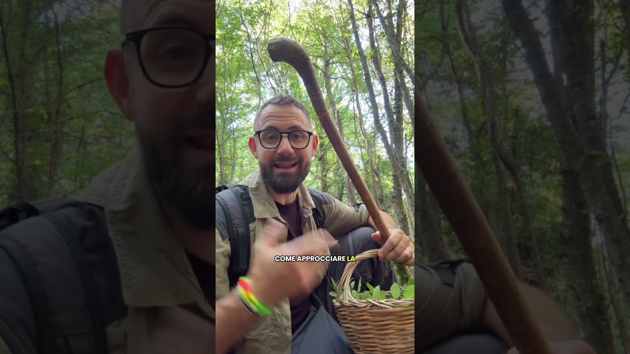 Come CERCARE I PORCINI, 3 consigli pratici! #porcini #funghi #mushroom