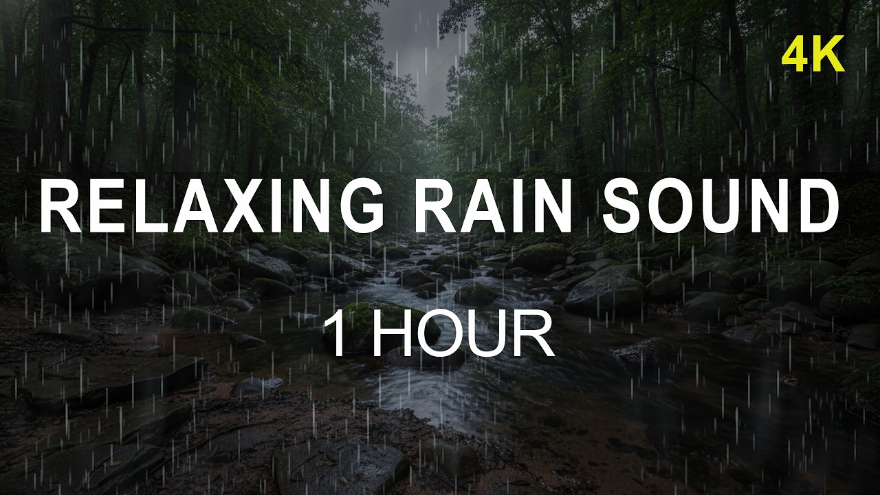 ⛈️ Pure Rain in the Deep Forest | Stay Asleep Longer | 1 Hour