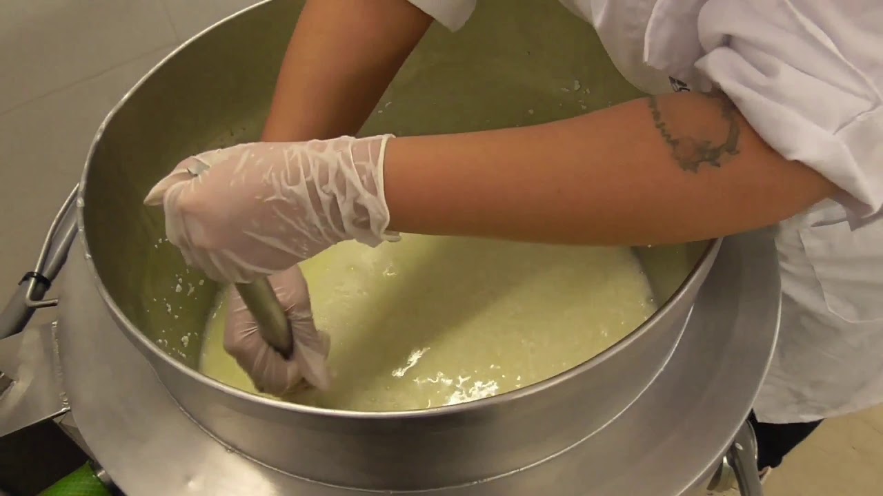 Παραγωγή τυριού 