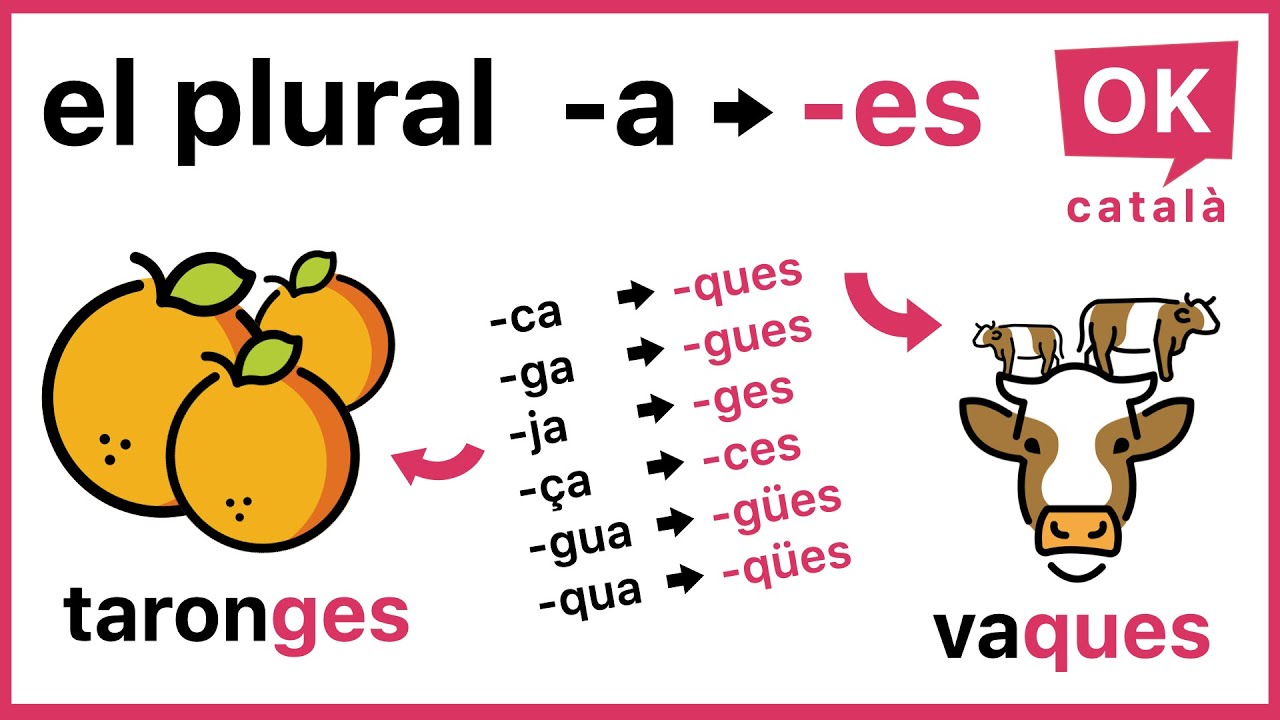 Per què el plural de “casa” és “cases”? El plural acabat en -es | OK CATALÀ | 4K