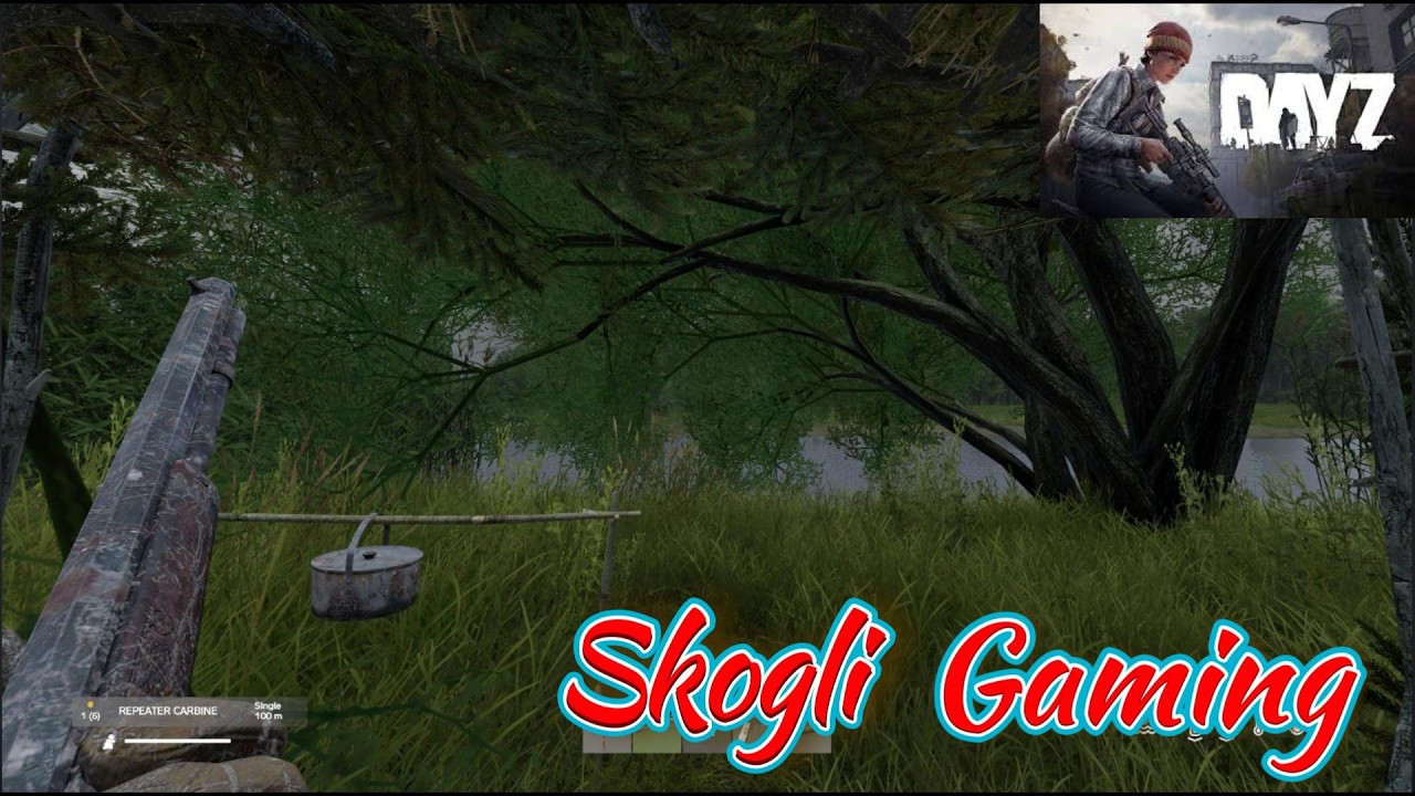 DayZ