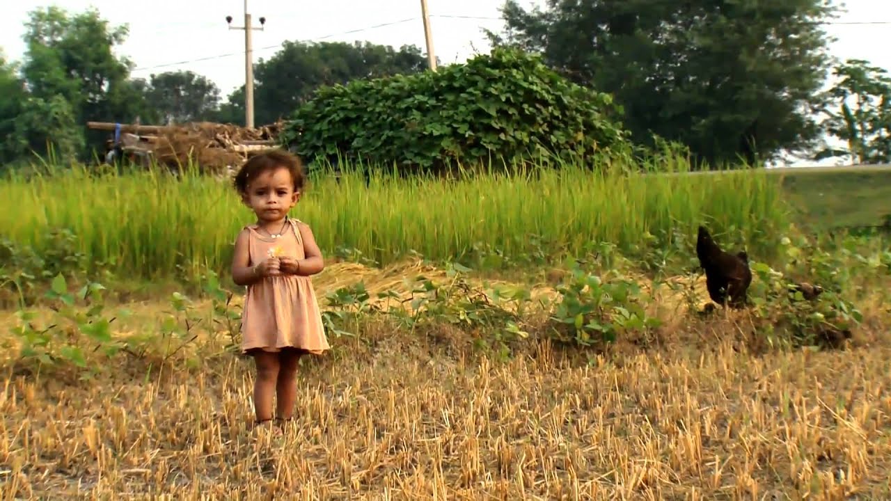 FAO in Nepal - Documentary version part 1/2