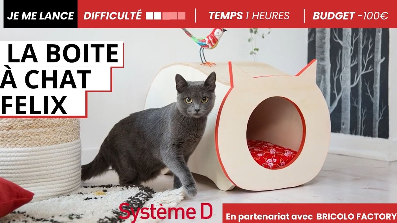 La bo&icirc;te &agrave; chat Felix : un DIY pratique et ludique