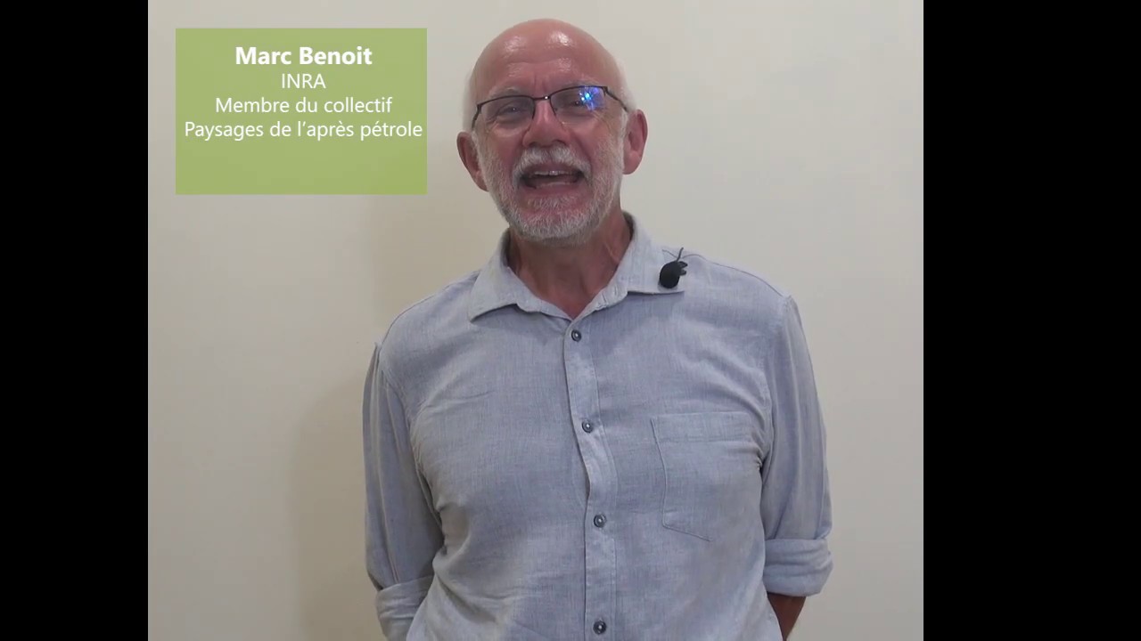 Agroforesteries : La place du paysage en agroforesterie