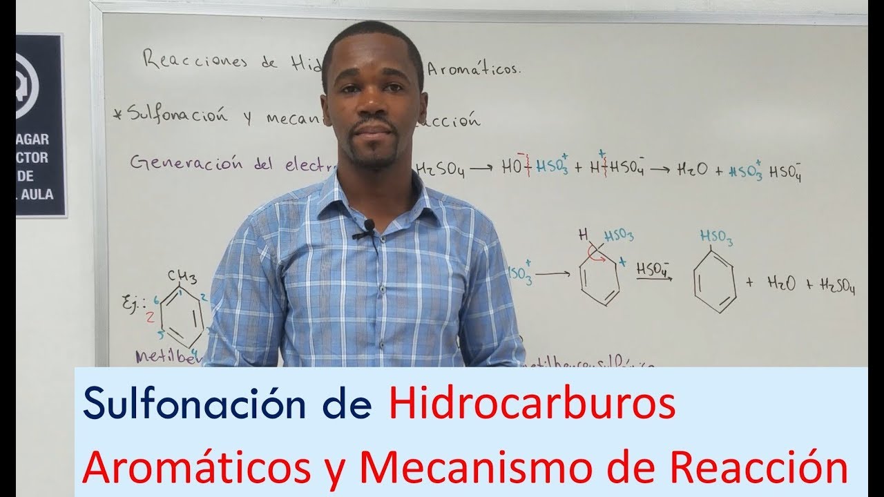 Sulfonación del Benceno | Mecanismo de Reacción | Sustitución Electrofílica y Nucleofílica