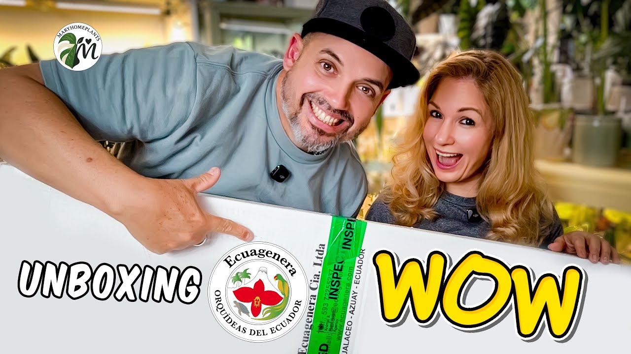 UNBOXING ÉPICO: 21 PLANTAS DESDE ECUADOR con @Ecuagenera🌿✨