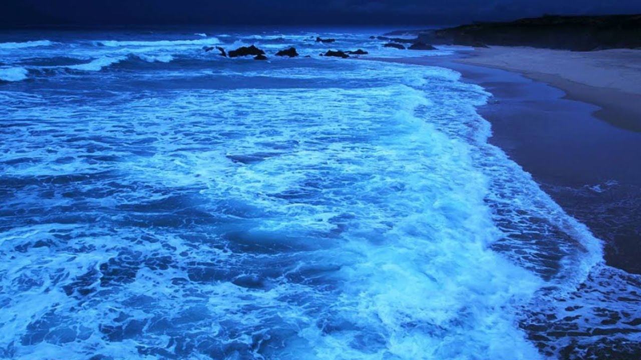 Can’t Sleep Again? 🌊 🌙 Night Ocean Waves to Relax Your Brain (LIVE)