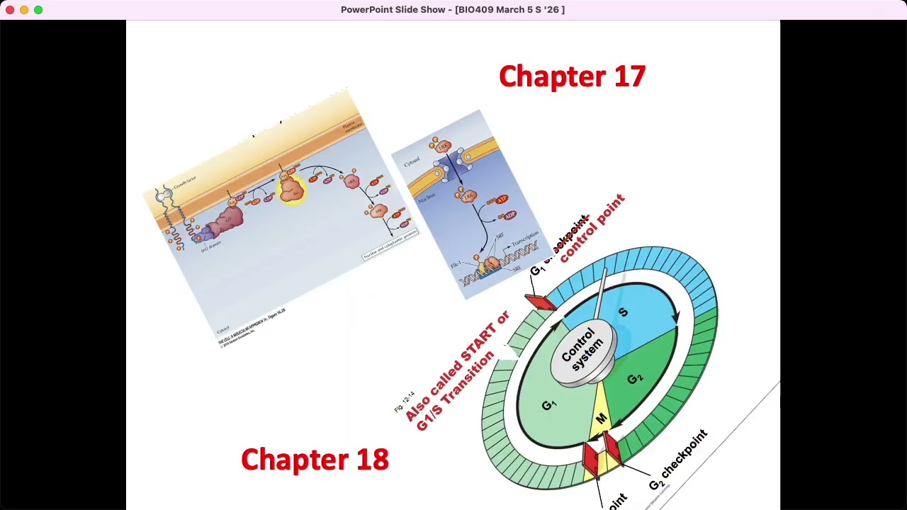 BIO409/509 Thurs., March 5th, Cell and Molec. Biology, David Champlin, USM