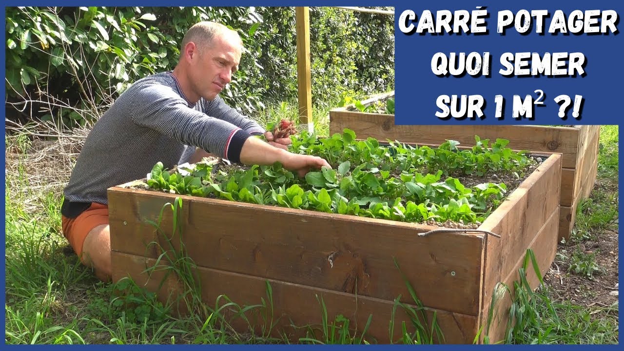 CARRÉ POTAGER - 5 cultures sur 1 m² ?! 🤔