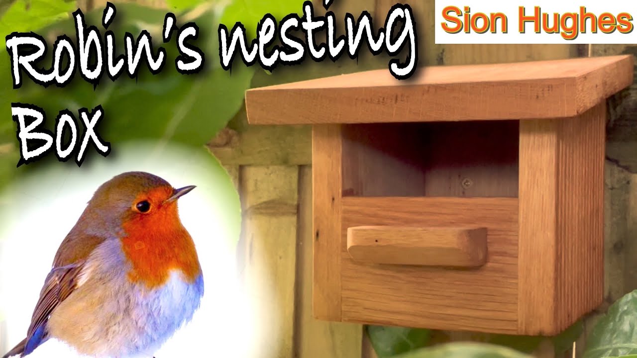 Robin’s nesting box