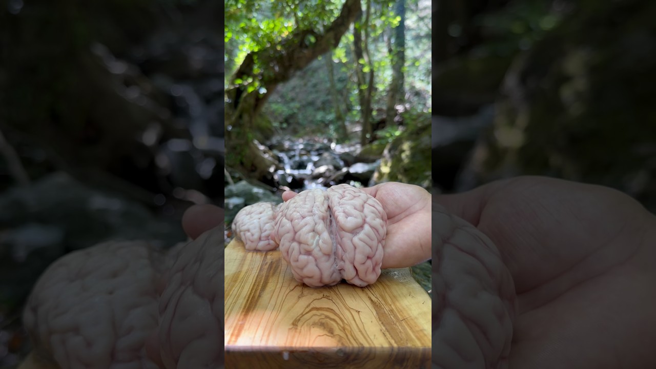 Рецепт говяжьих мозгов 🧠