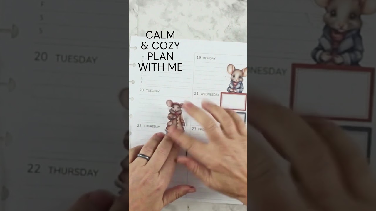 Cozy & Calm Plan With Me 