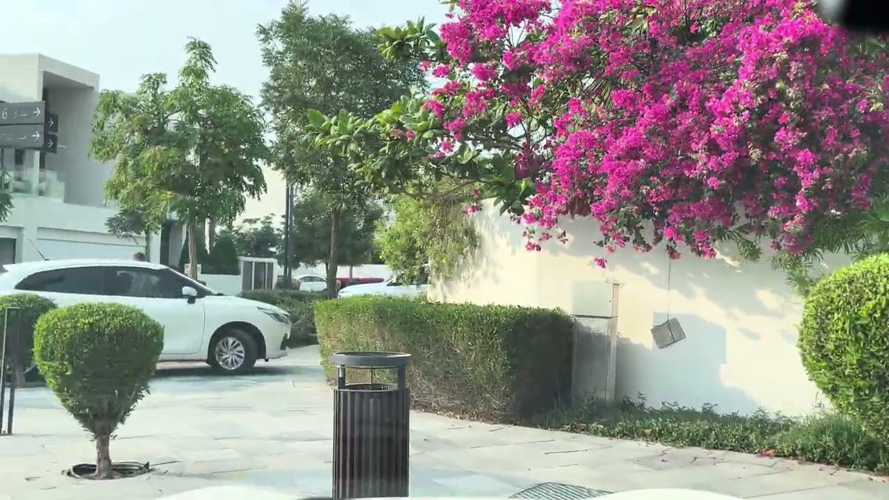 SHEIKH MUHAMMAD BIN RASHID DISTRICT 1 @TravelwithZSS (EPISODE-29)