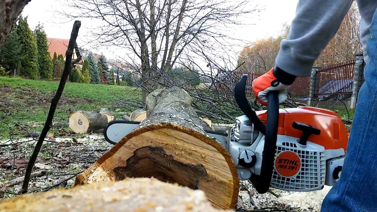 Another bucking with STIHL MS 291.