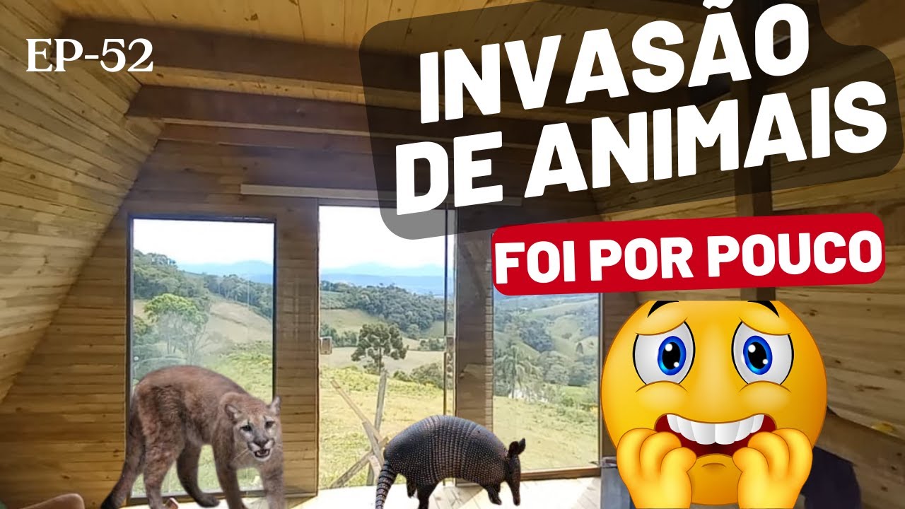 EP-52- UMA ONÇA QUE SUSTO!