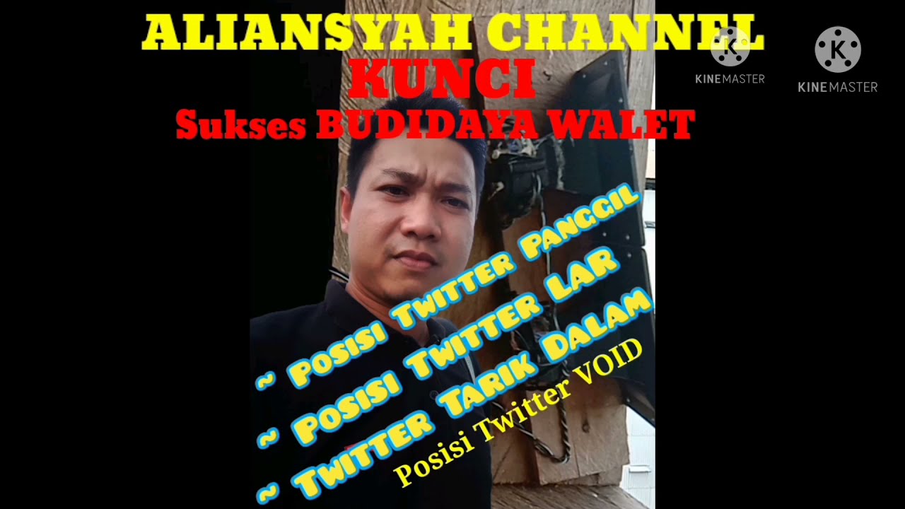 TEHNIK PEMASANGAN TWITTER LMB,TARIK LAR,TARIK DALAM DAN TARIK VOID AGAR WALET MUDAH BERADAPTASI.