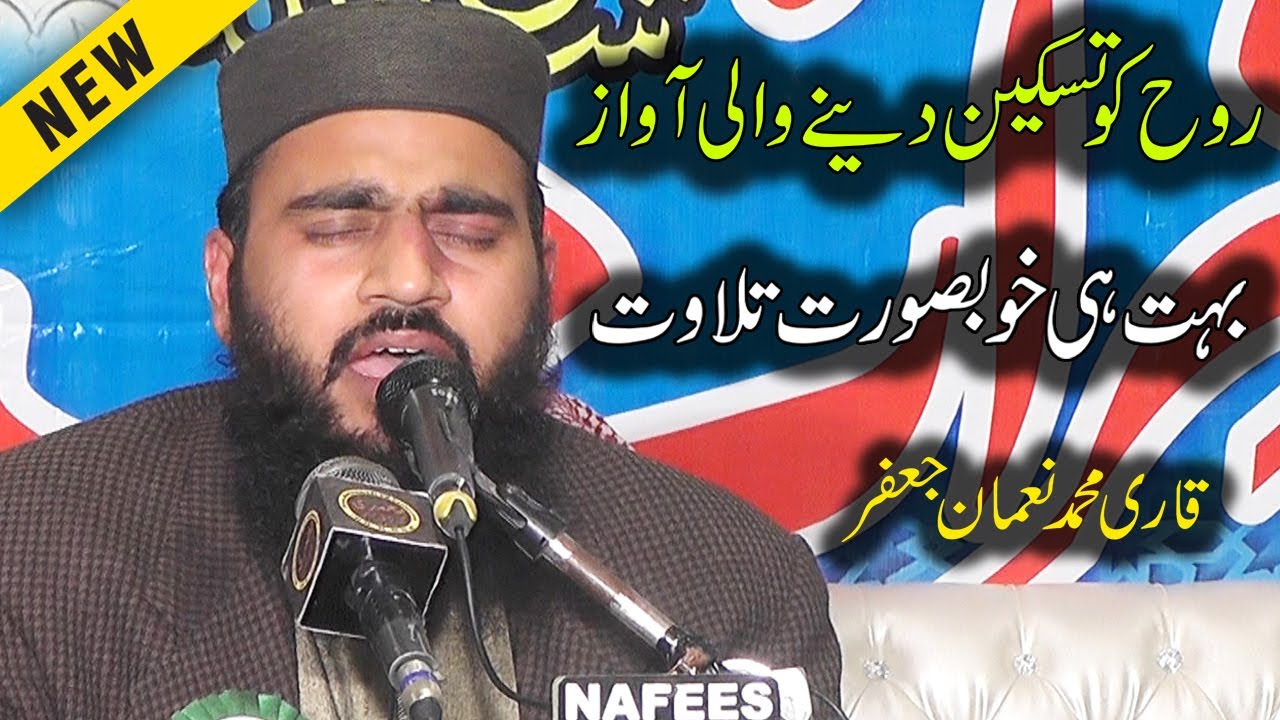 Qari Numan Jaffar Very Beautiful Tilawat | Heart Touching Amazing Voice | Quran Recitation