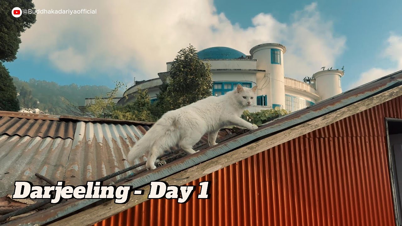 1st Day in Darjeeling 🇮🇳 | Tihar maa Darjeeling pugeu ✨