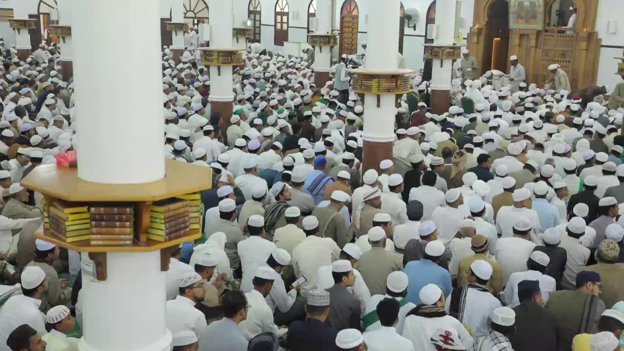المجلس السنوي لقراءة السيرة النبوية بمناسبة المولد النبوي الشريف بدار المصطفى بتريم | 1446/03/27هـ