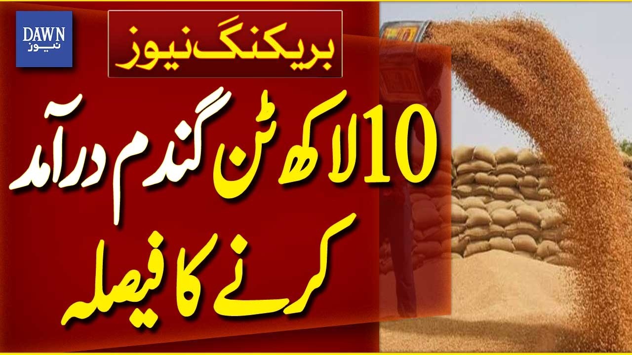 Government Approves Import of 1 Million Tons of Wheat | Breaking News | Dawn News